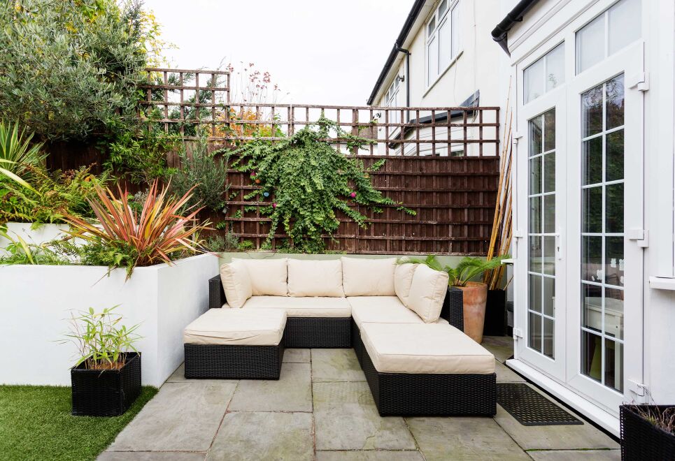 Wimbledon Wildflower