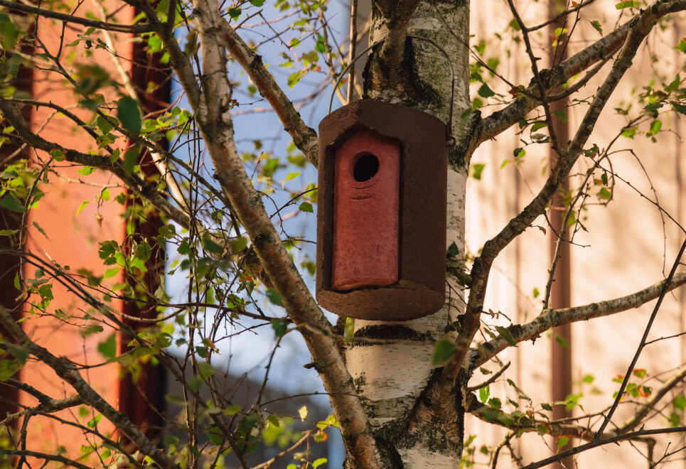 The Eades Store Projects Studio