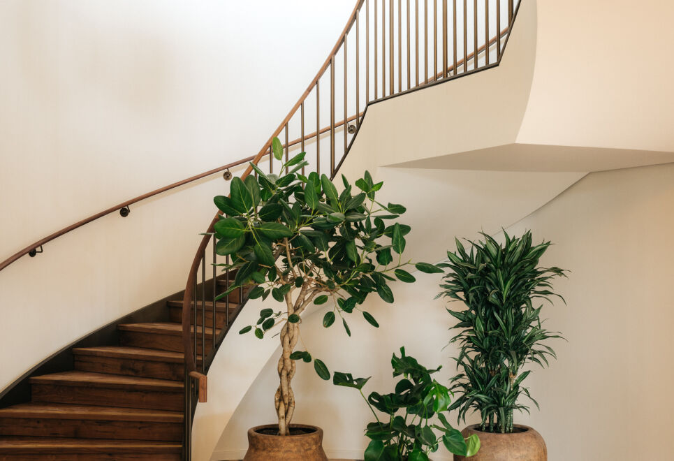 The Eades Store Projects Studio