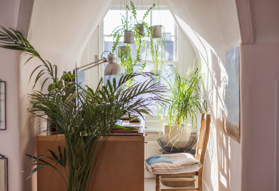 Contemporary Haven in Putney